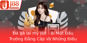 A Ga Lai My J88 Bi Mat Au Truong Ang Cap Va Nhung Ieu Can Biet