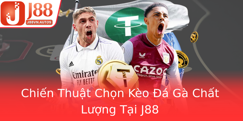Chiến Thuật Chọn Kèo Đá Gà Chất Lượng Tại J88 Chiến Thuật Chọn Kèo Đá Gà Chất Lượng Tại J88