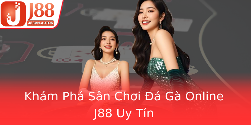Khám Phá Sân Chơi Đá Gà Online J88 Uy Tín