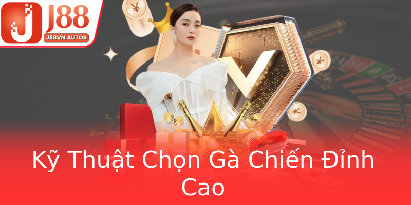 Kỹ Thuật Chọn Gà Chiến Đỉnh Cao