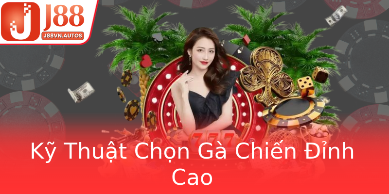 Kỹ Thuật Chọn Gà Chiến Đỉnh Cao Kỹ Thuật Chọn Gà Chiến Đỉnh Cao