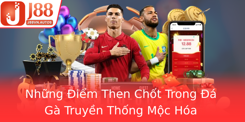 Những Điểm Then Chốt Trong Đá Gà Truyền Thống Mộc Hóa