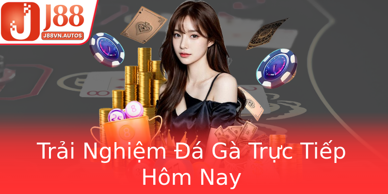 Trải Nghiệm Đá Gà Trực Tiếp Hôm Nay Trải Nghiệm Đá Gà Trực Tiếp Hôm Nay