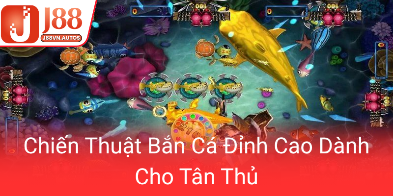 Chien Thuat Ban Ca Dinh Cao Danh Cho Tan Thu0