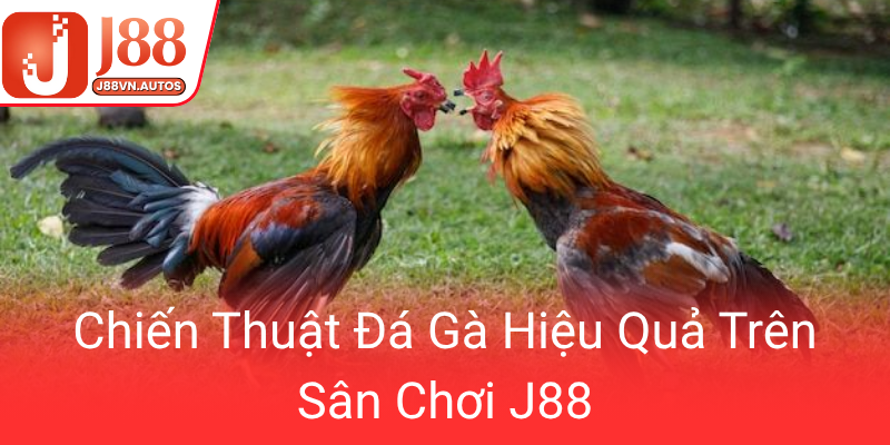Chien Thuat Da Ga Hieu Qua Tren San Choi J880