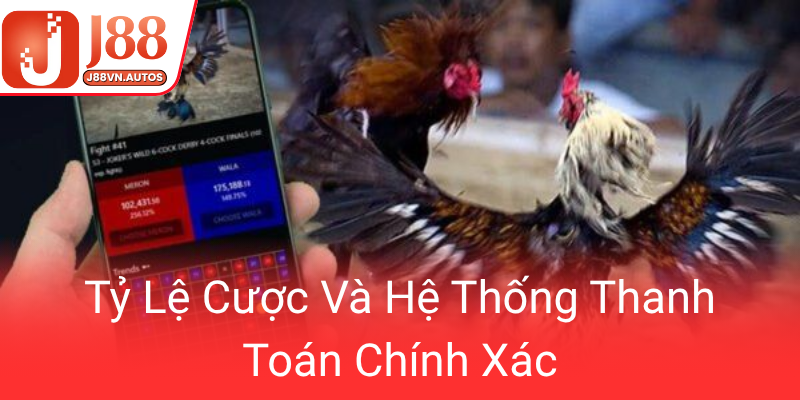 Ty Le Cuoc Va He Thong Thanh Toan Chinh Xac0